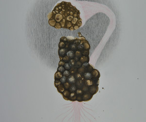 Mystères et enchantements 2020-2021