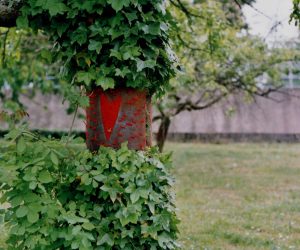 Tendres pensements
