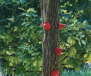 Jardinus gloutonum (2004)