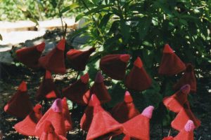Jardinus gloutonum