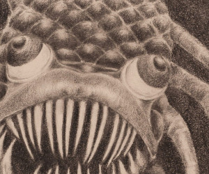 Nature- dessins 2018-2019